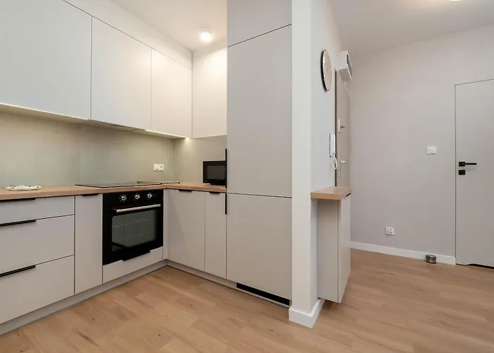 Apartment Beautiful With Balcony By Renters *